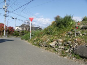 写真①昔の堤防
