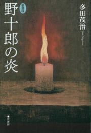 【新装版】野十郎の炎　