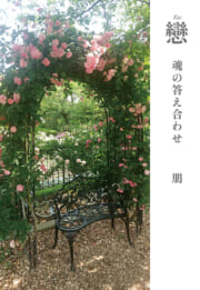 詩集戀　魂の答え合わせ