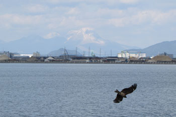 写真③遠くに雲仙岳