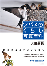 ツバメのくらし写真百科